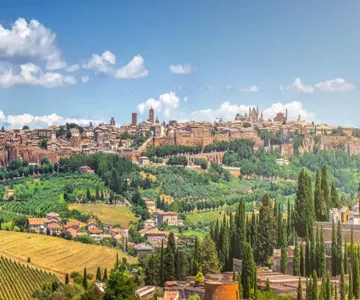Day Trip to Assisi + Wine Tasting